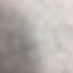 Meet your Posher, Molly